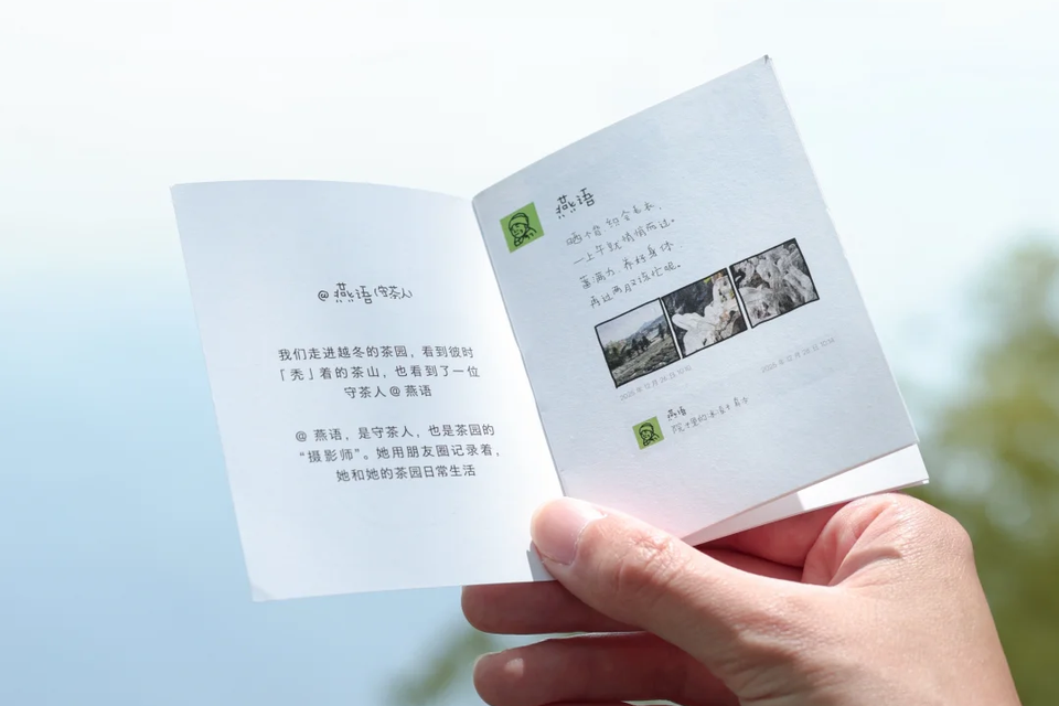 海威数字_新闻资讯